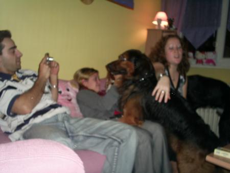 invasion de chiens!