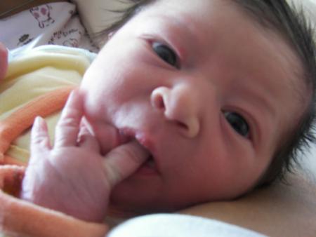 Ne suis je pas trop mignon??!